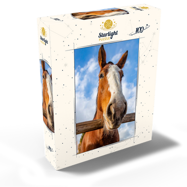 Clydesdale Horse Close-Up with Blue Sky Backdrop 100 Jigsaw Puzzle box view2