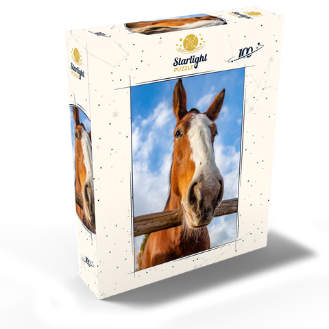 Clydesdale Horse Close-Up with Blue Sky Backdrop 100 Jigsaw Puzzle box view2