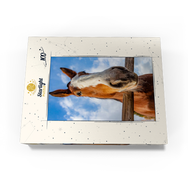 Clydesdale Horse Close-Up with Blue Sky Backdrop 100 Jigsaw Puzzle box view3