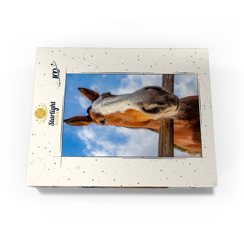 Clydesdale Horse Close-Up with Blue Sky Backdrop 100 Jigsaw Puzzle box view3