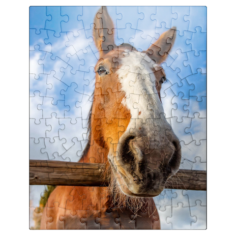 puzzleplate Clydesdale Horse Close-Up with Blue Sky Backdrop 100 Jigsaw Puzzle
