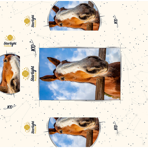 Clydesdale Horse Close-Up with Blue Sky Backdrop 100 Jigsaw Puzzle box 3D Modell