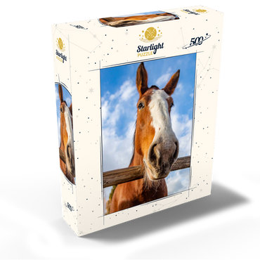 Clydesdale Horse Close-Up with Blue Sky Backdrop 500 Jigsaw Puzzle box view2