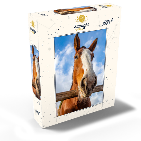 Clydesdale Horse Close-Up with Blue Sky Backdrop 500 Jigsaw Puzzle box view2