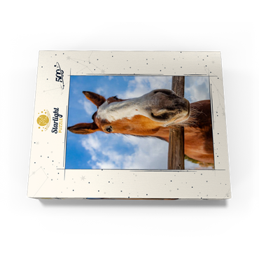 Clydesdale Horse Close-Up with Blue Sky Backdrop 500 Jigsaw Puzzle box view3