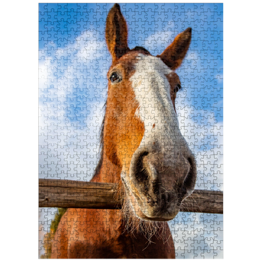 puzzleplate Clydesdale Horse Close-Up with Blue Sky Backdrop 500 Jigsaw Puzzle