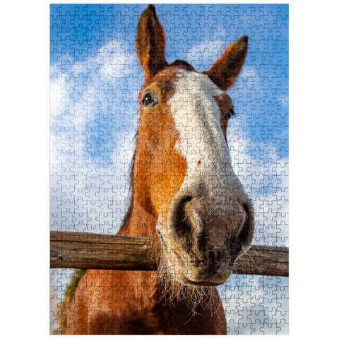 puzzleplate Clydesdale Horse Close-Up with Blue Sky Backdrop 500 Jigsaw Puzzle