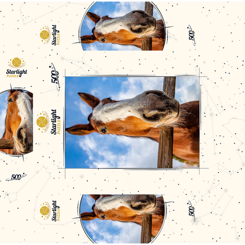 Clydesdale Horse Close-Up with Blue Sky Backdrop 500 Jigsaw Puzzle box 3D Modell