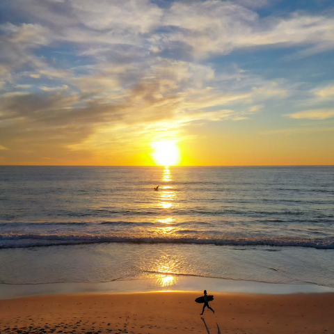 Surfer at Sunset on California Beach 100 Jigsaw Puzzle 3D Modell