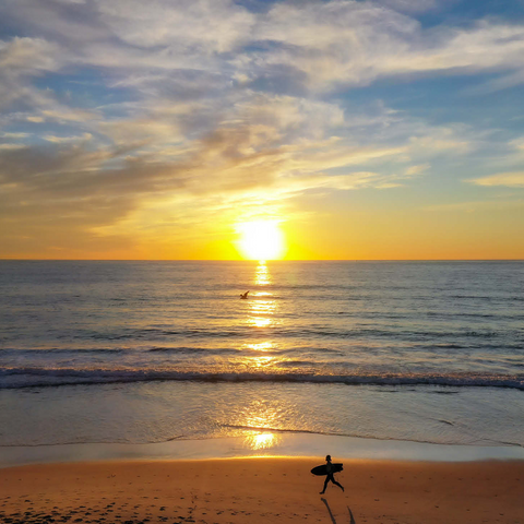 Surfer at Sunset on California Beach 500 Jigsaw Puzzle 3D Modell