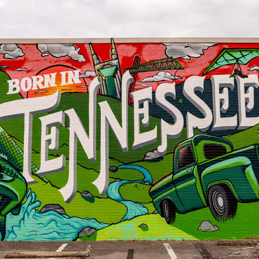 Born in Tennessee Street Art Wall Mural 1000 Jigsaw Puzzle 3D Modell