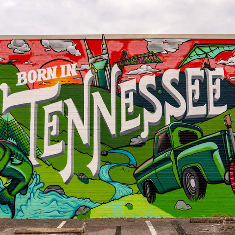 Born in Tennessee Street Art Wall Mural 100 Jigsaw Puzzle 3D Modell