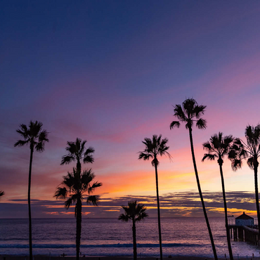 Manhattan Beach Pier at Sunset with Palm Silhouettes 100 Jigsaw Puzzle 3D Modell