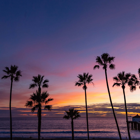 Manhattan Beach Pier at Sunset with Palm Silhouettes 500 Jigsaw Puzzle 3D Modell