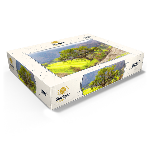 California Oak Tree in Spring Green Hills 1000 Jigsaw Puzzle box view1