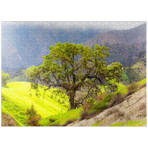 puzzleplate California Oak Tree in Spring Green Hills 1000 Jigsaw Puzzle