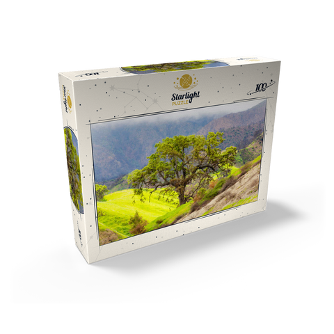 California Oak Tree in Spring Green Hills 100 Jigsaw Puzzle box view2