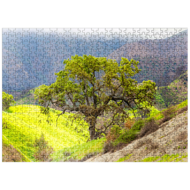 puzzleplate California Oak Tree in Spring Green Hills 500 Jigsaw Puzzle