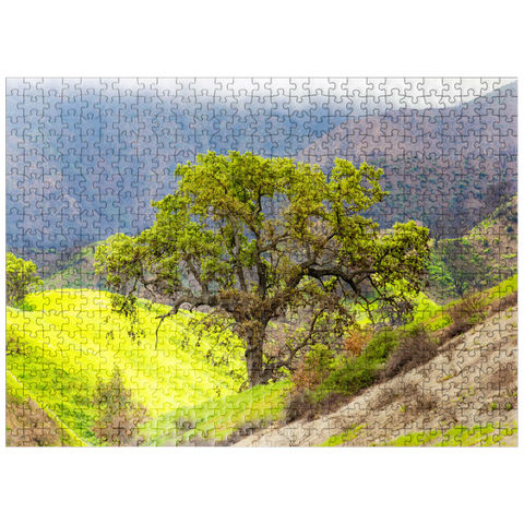 puzzleplate California Oak Tree in Spring Green Hills 500 Jigsaw Puzzle