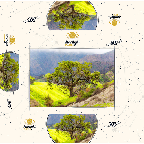 California Oak Tree in Spring Green Hills 500 Jigsaw Puzzle box 3D Modell