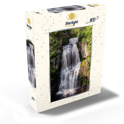 Bushkill Falls Pennsylvania - Cascading Forest Waterfall 100 Jigsaw Puzzle box view2