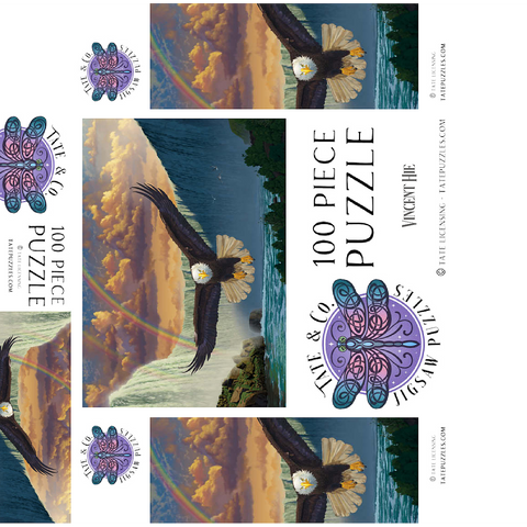 Niagara Falls Eagle - Vincent Hie 100 Jigsaw Puzzle box 3D Modell