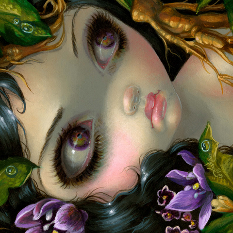 Poisonous Beauties 14 - Jasmine Becket-Griffith 500 Jigsaw Puzzle 3D Modell