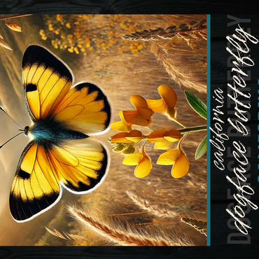 California, Dogface Butterfly: State Insects Series 500 Jigsaw Puzzle 3D Modell