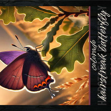 Colorado, Hairstreak Butterfly: State Insects Series 1000 Jigsaw Puzzle 3D Modell