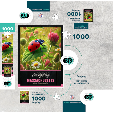 Massachusetts, Ladybug: State Insects Series 1000 Jigsaw Puzzle box 3D Modell