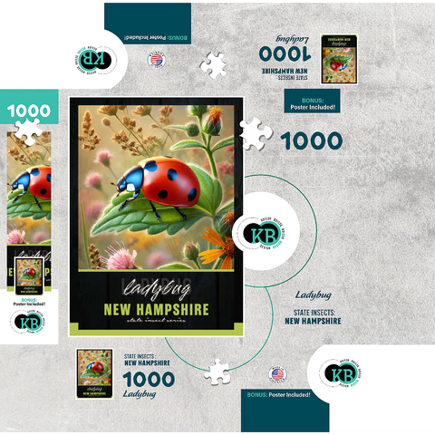 New Hampshire, Ladybug: State Insects Series 1000 Jigsaw Puzzle box 3D Modell