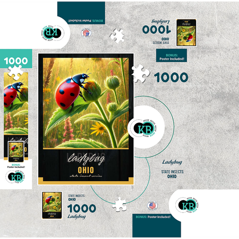 Ohio, Ladybug: State Insects Series 1000 Jigsaw Puzzle box 3D Modell