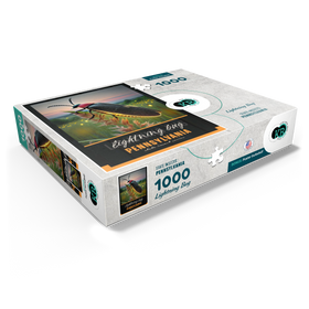 1000