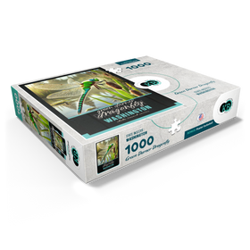 1000
