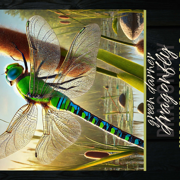Washington D.C., Green Darner Dragonfly: State Insects Series 500 Jigsaw Puzzle 3D Modell