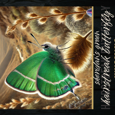 Wyoming, Sheridan's Green Hairstreak Butterfly: State Insects Series 500 Jigsaw Puzzle 3D Modell