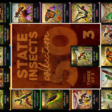 Collage: State Insects Series, Part 3 of 3 500 Jigsaw Puzzle 3D Modell