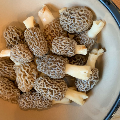 Bowl of Morel Mushrooms 1000 Jigsaw Puzzle 3D Modell