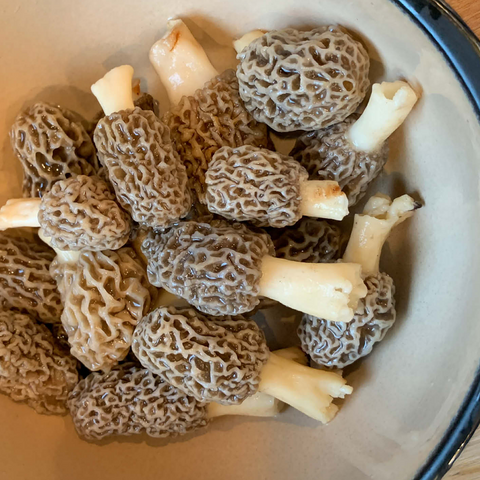 Bowl of Morel Mushrooms 500 Jigsaw Puzzle 3D Modell