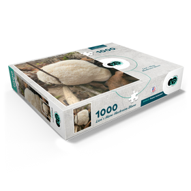 1000