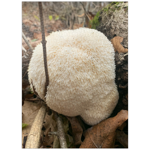 puzzleplate Lion's Mane Mushroom Bloom 1000 Jigsaw Puzzle