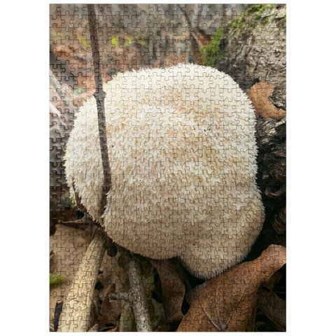 puzzleplate Lion's Mane Mushroom Bloom 500 Jigsaw Puzzle