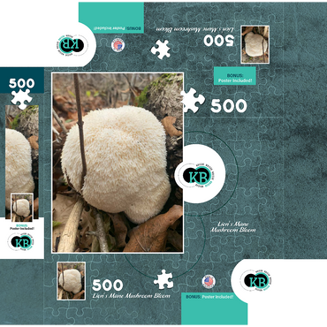 Lion's Mane Mushroom Bloom 500 Jigsaw Puzzle box 3D Modell