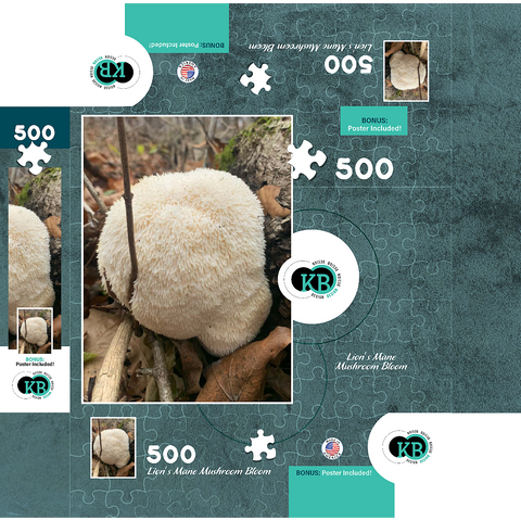 Lion's Mane Mushroom Bloom 500 Jigsaw Puzzle box 3D Modell