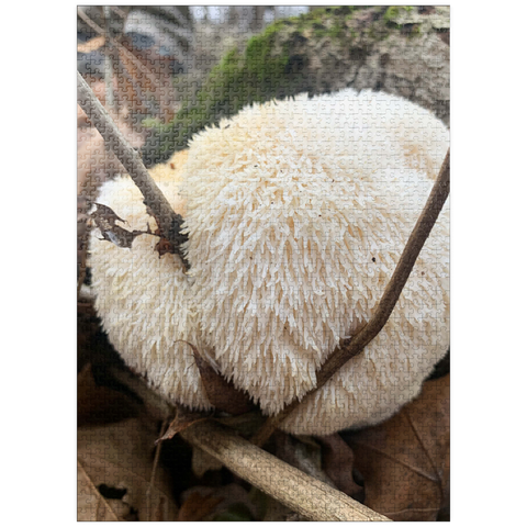 puzzleplate Lion's Mane Mushroom on Log 1000 Jigsaw Puzzle