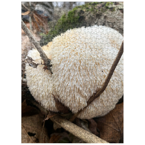 puzzleplate Lion's Mane Mushroom on Log 500 Jigsaw Puzzle