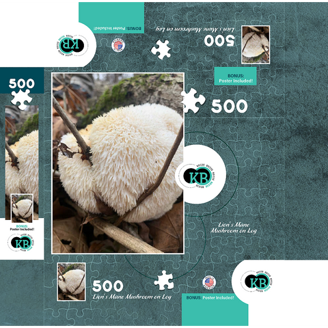 Lion's Mane Mushroom on Log 500 Jigsaw Puzzle box 3D Modell