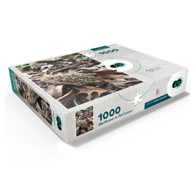 1000
