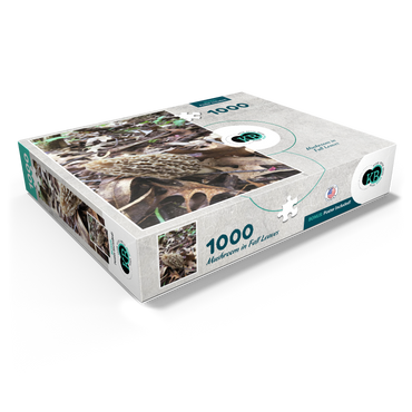 Mushroom in Fall Leaves 1000 Jigsaw Puzzle box view1