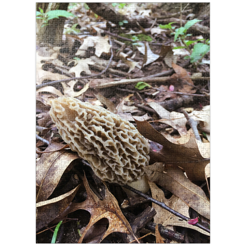 puzzleplate Mushroom in Fall Leaves 1000 Jigsaw Puzzle